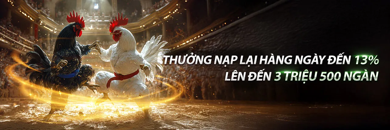 MCW88 Khuyến Mãi 2026 - Đăng Ký Ngay Để Nhận Ưu Đãi Hấp Dẫn